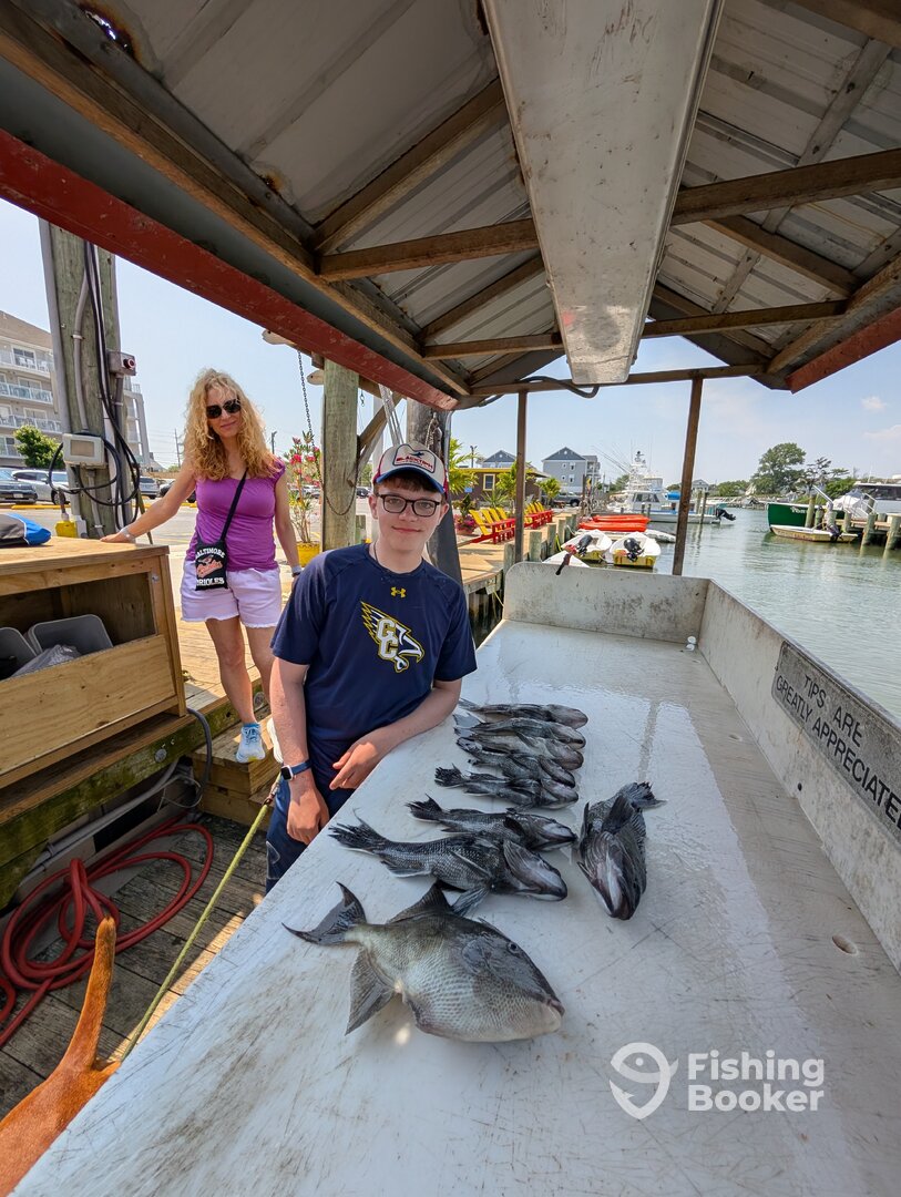 Ocean City Report Photo 0