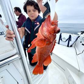 Rockfish on our 2 hour charter