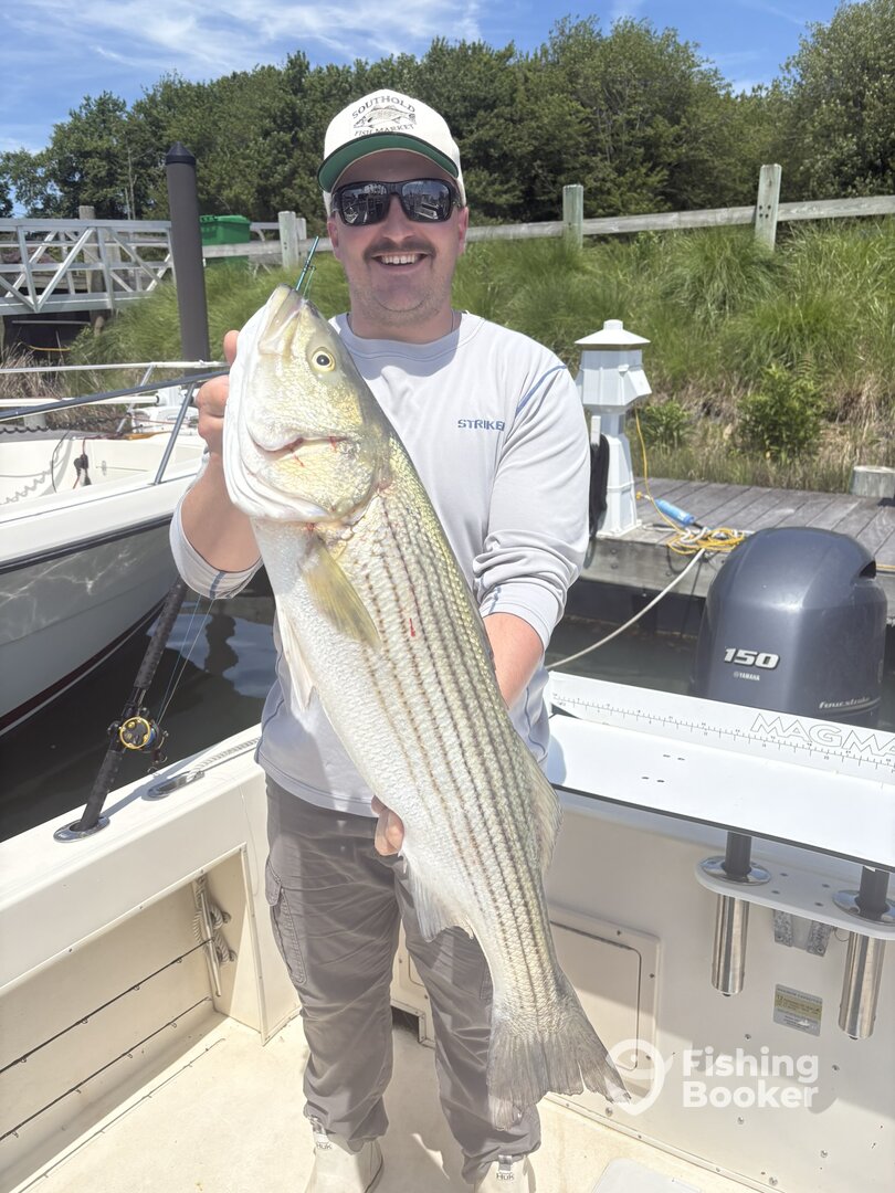 Southold Report Photo 0