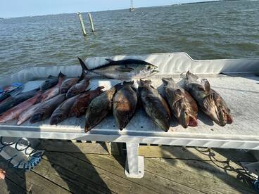Bottom Fishing is the best way to take m