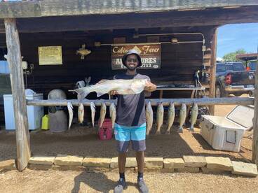 Platter Report Photo 1