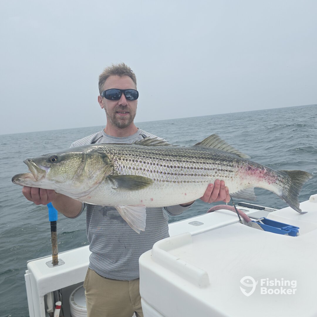 Point Judith Report Photo 0