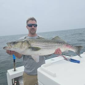 Narragansett Report Photo 3