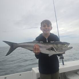Narragansett Report Photo 4