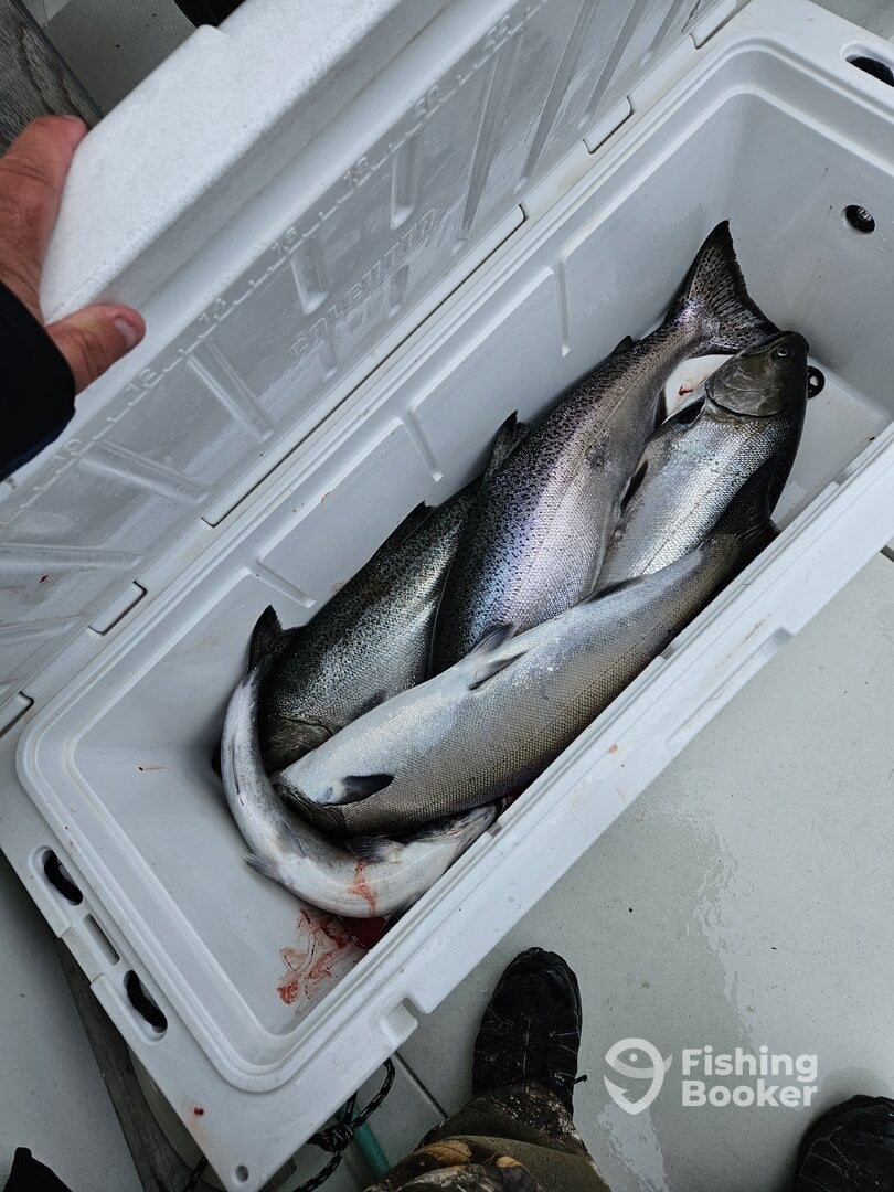 Jefferson County Report Photo 0
