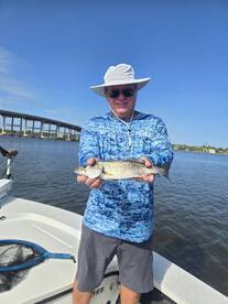 Ormond Beach Report Photo 1