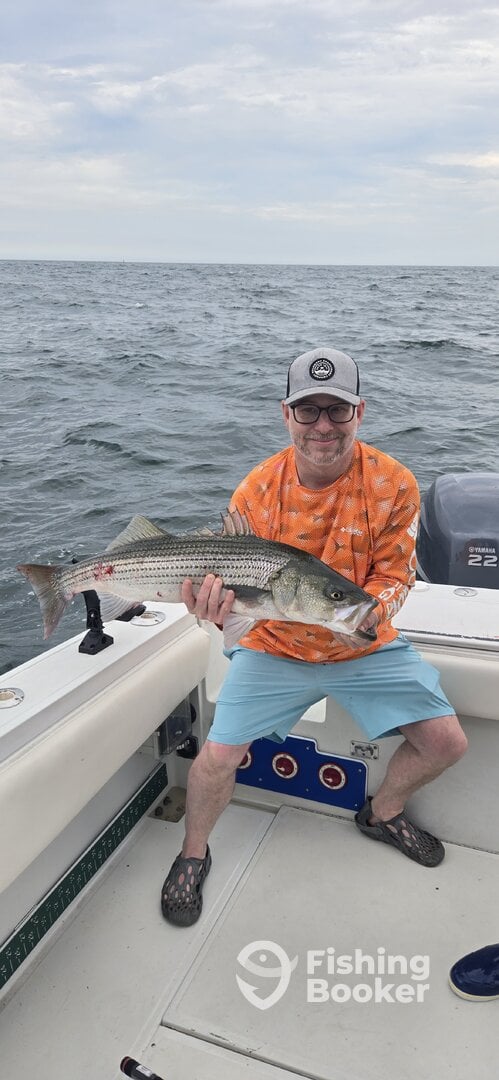 Rhode Island Report Photo 0