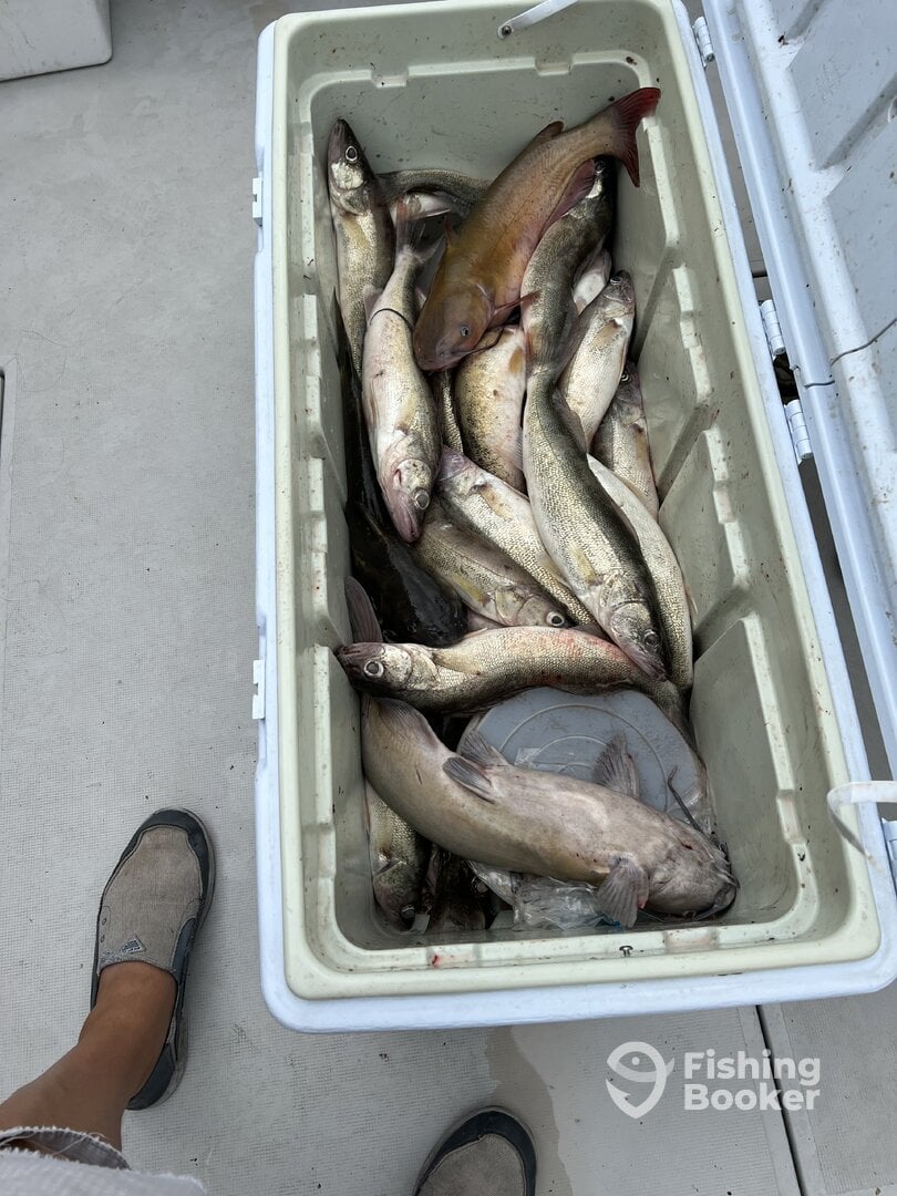 Port Clinton Report Photo 0