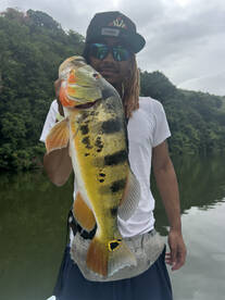 Peacock Bass Tour
