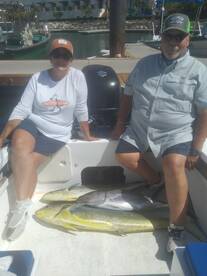 Tuna and  mahi mahi 