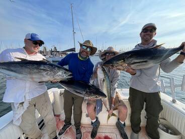 Tuna are in close! It’s time to book you