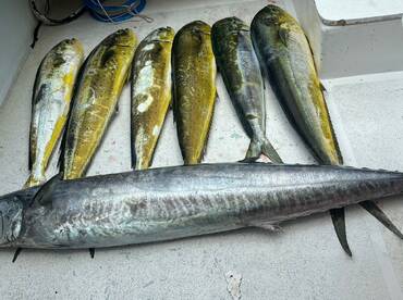 San Pedro Report Photo 1