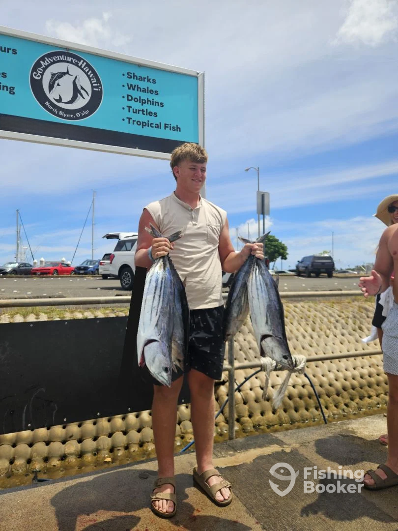 Haleiwa Report Photo 0