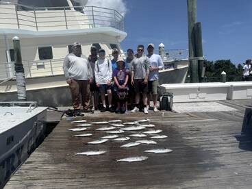 Four hour mid day trip  6/2/25