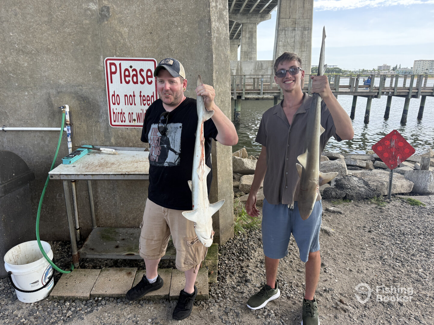 New Smyrna Beach Report Photo 0