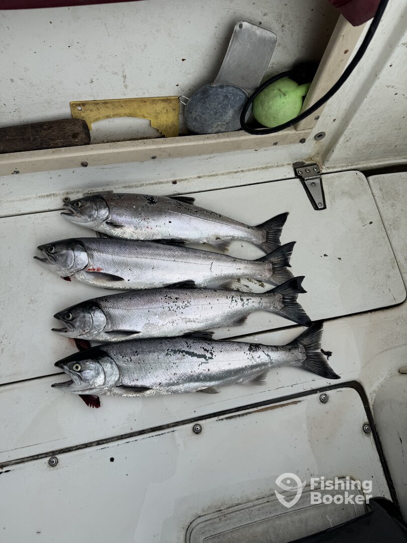 Gabriola Report Photo 0