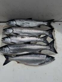 Gabriola Report Photo 1