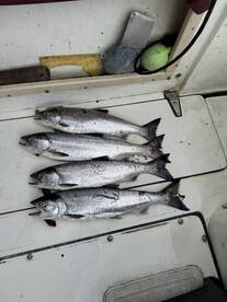 Gabriola Island Report Photo 4