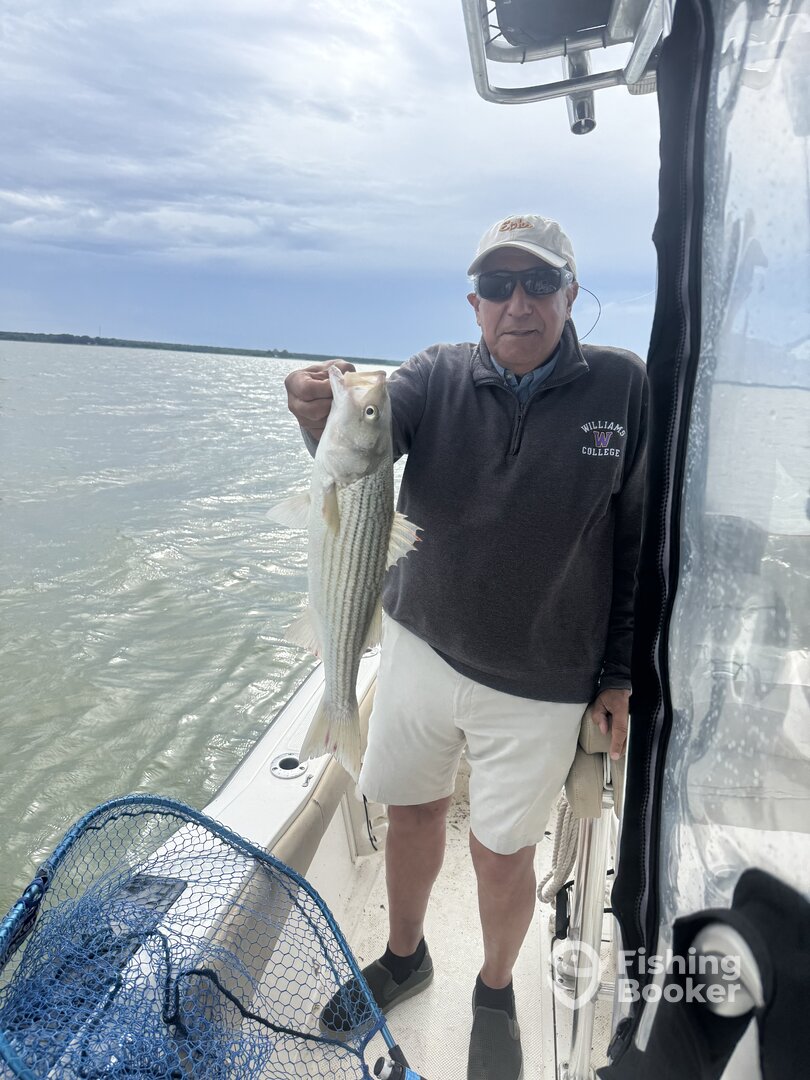 Madison Report Photo 0