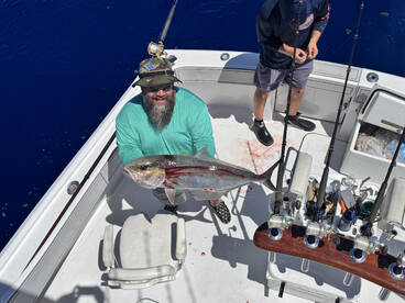 Amberjack action 