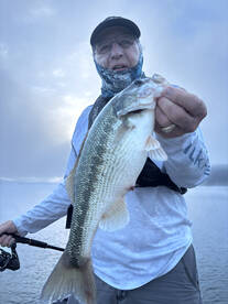Branson Report Photo 1