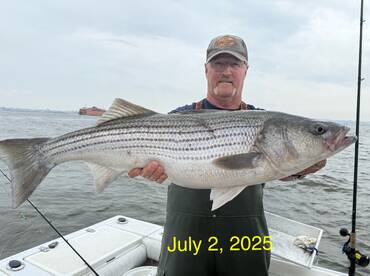 Fantastic bite today