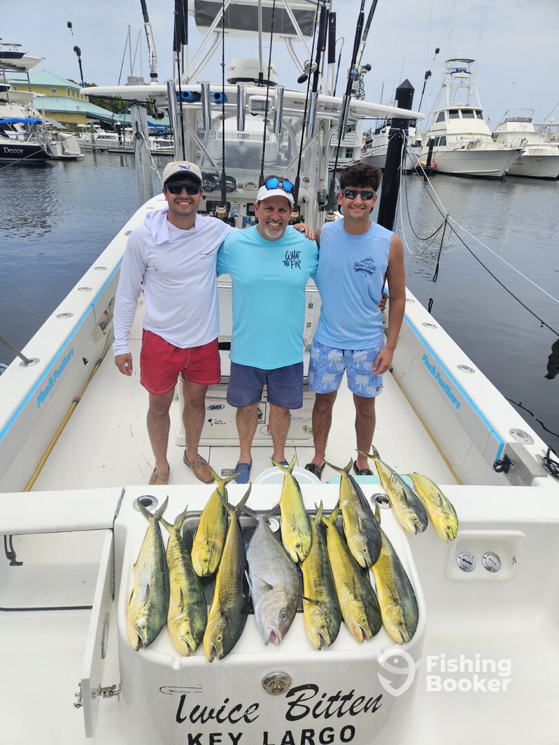Upper Keys Report Photo 0