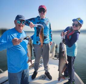 3X Small Blue cats and channels