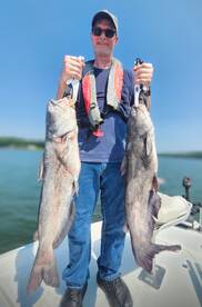 2 XL Male Blue Catfish