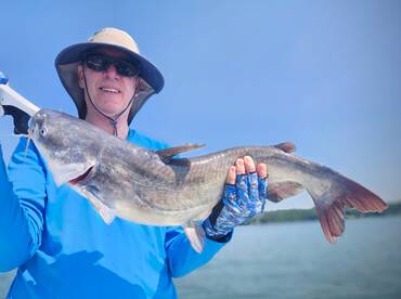 Another nice Blue Cat