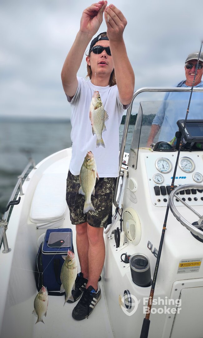Perch 4-5X