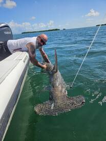 Dry Tortugas Report Photo 2
