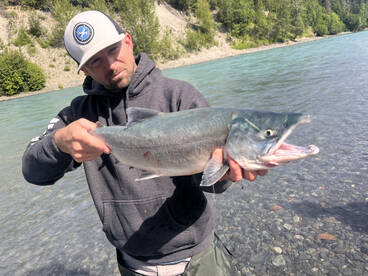 Soldotna Report Photo 1
