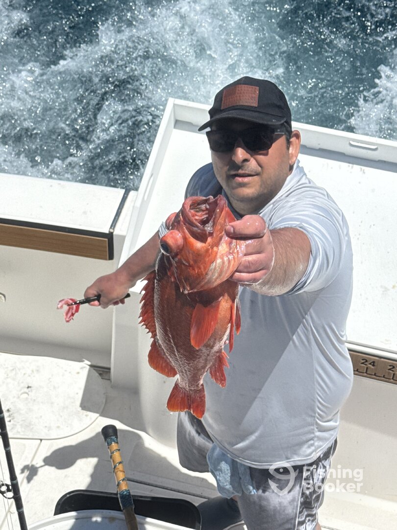 Huntington Beach Report Photo 0