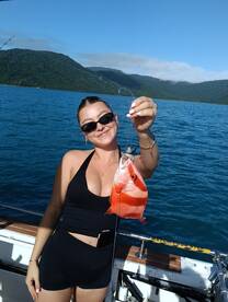 Airlie Beach Report Photo 1
