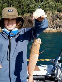 A1 Fishing Charters Whitsundays Airlie b