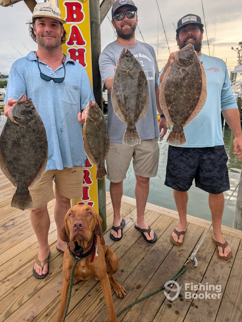Ocean City Report Photo 0