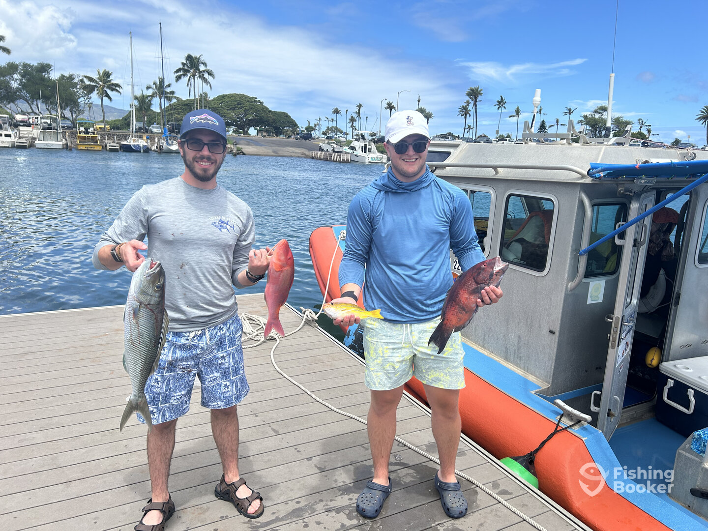 Haleiwa Report Photo 0