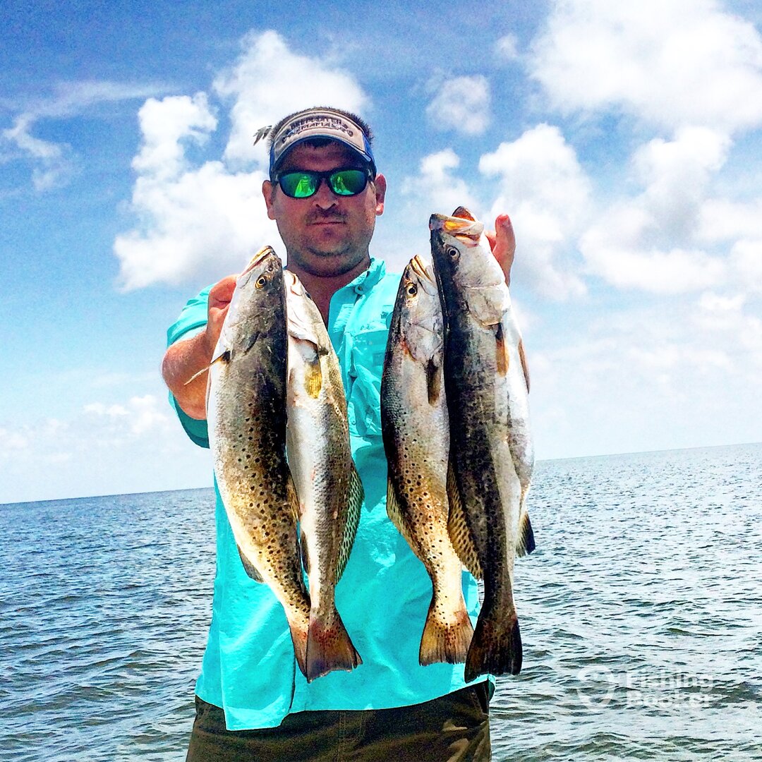 Ocean Springs Report Photo 0