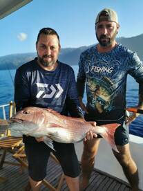 Funchal Report Photo 1