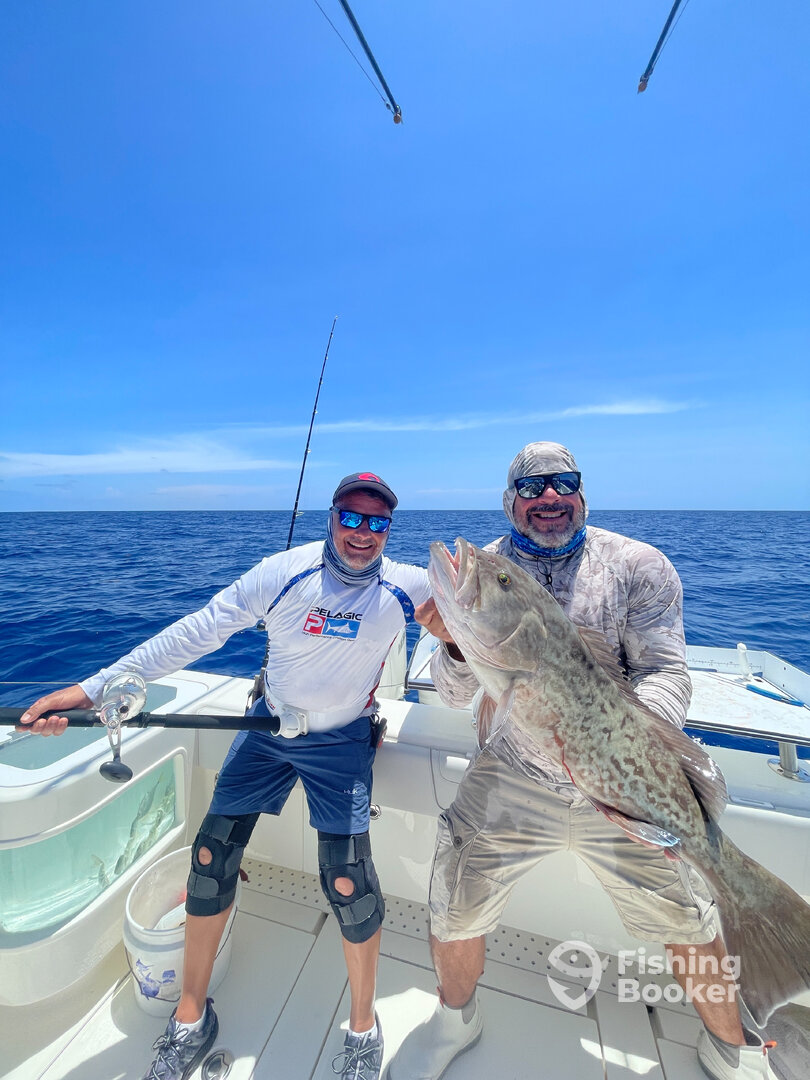 Gag Grouper