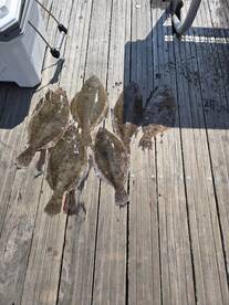 Longport Report Photo 2