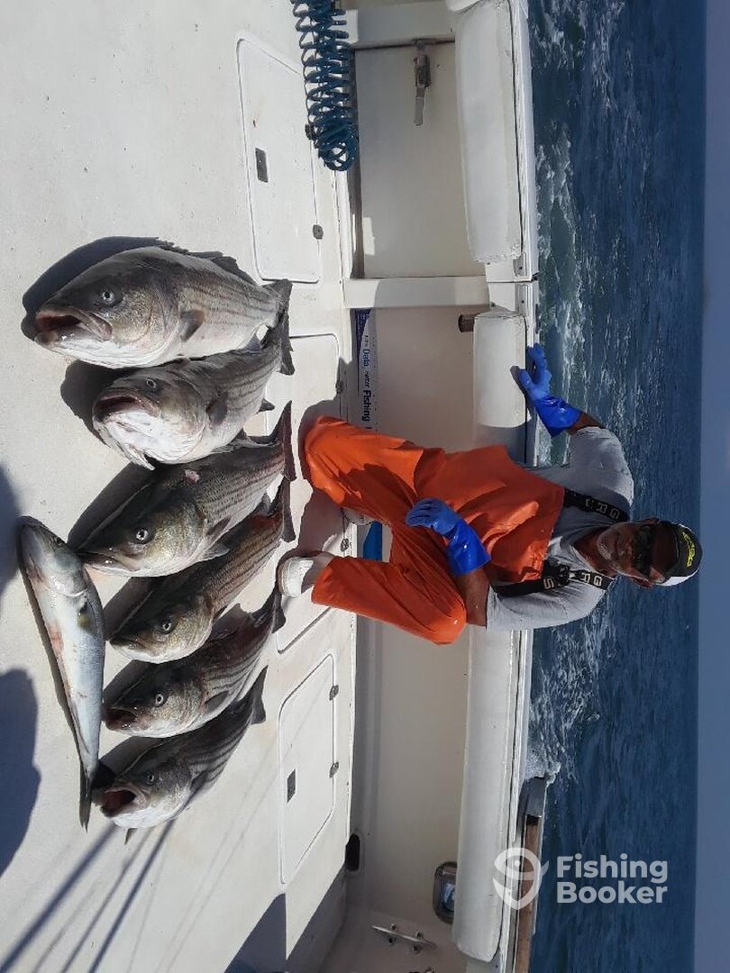Montauk Report Photo 0