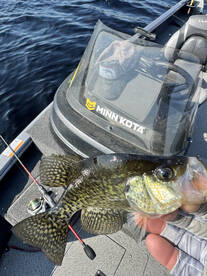 Rhinelander Report Photo 2