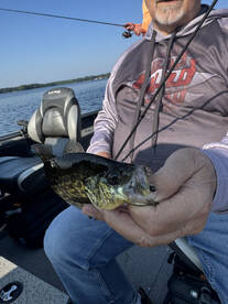 Rhinelander Report Photo 1