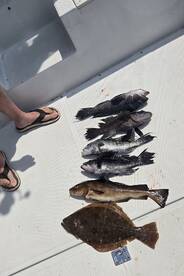 Narragansett Bay Report Photo 1
