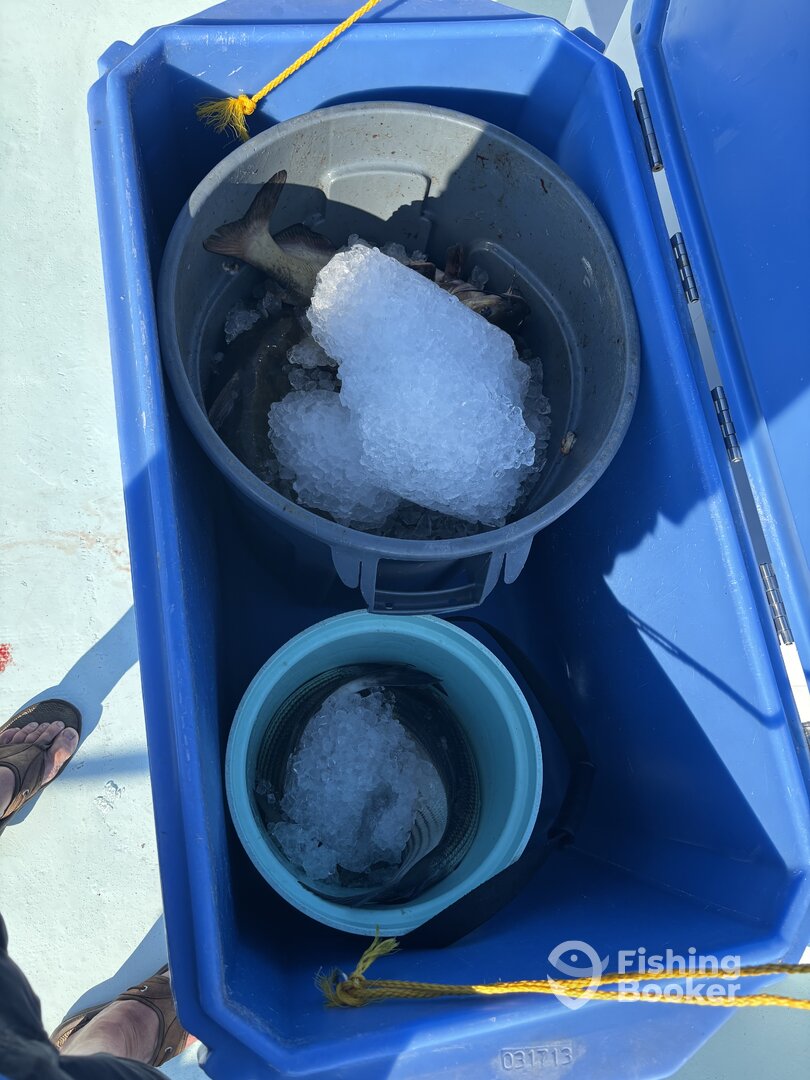 Chesapeake Beach Report Photo 0