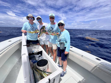 Mahi mahi 6hr trip 