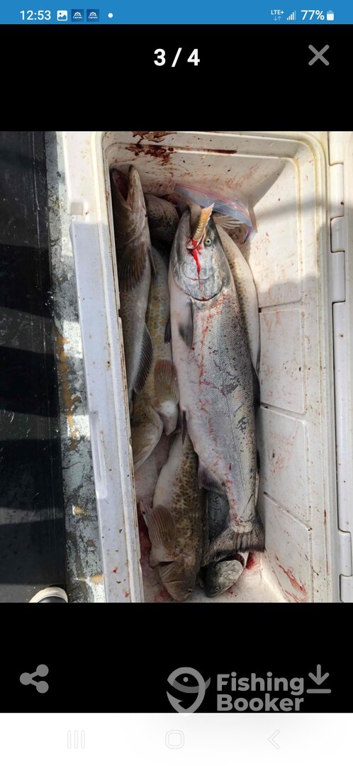 Ucluelet Report Photo 0