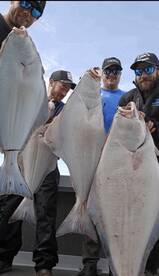 Halibut crazy